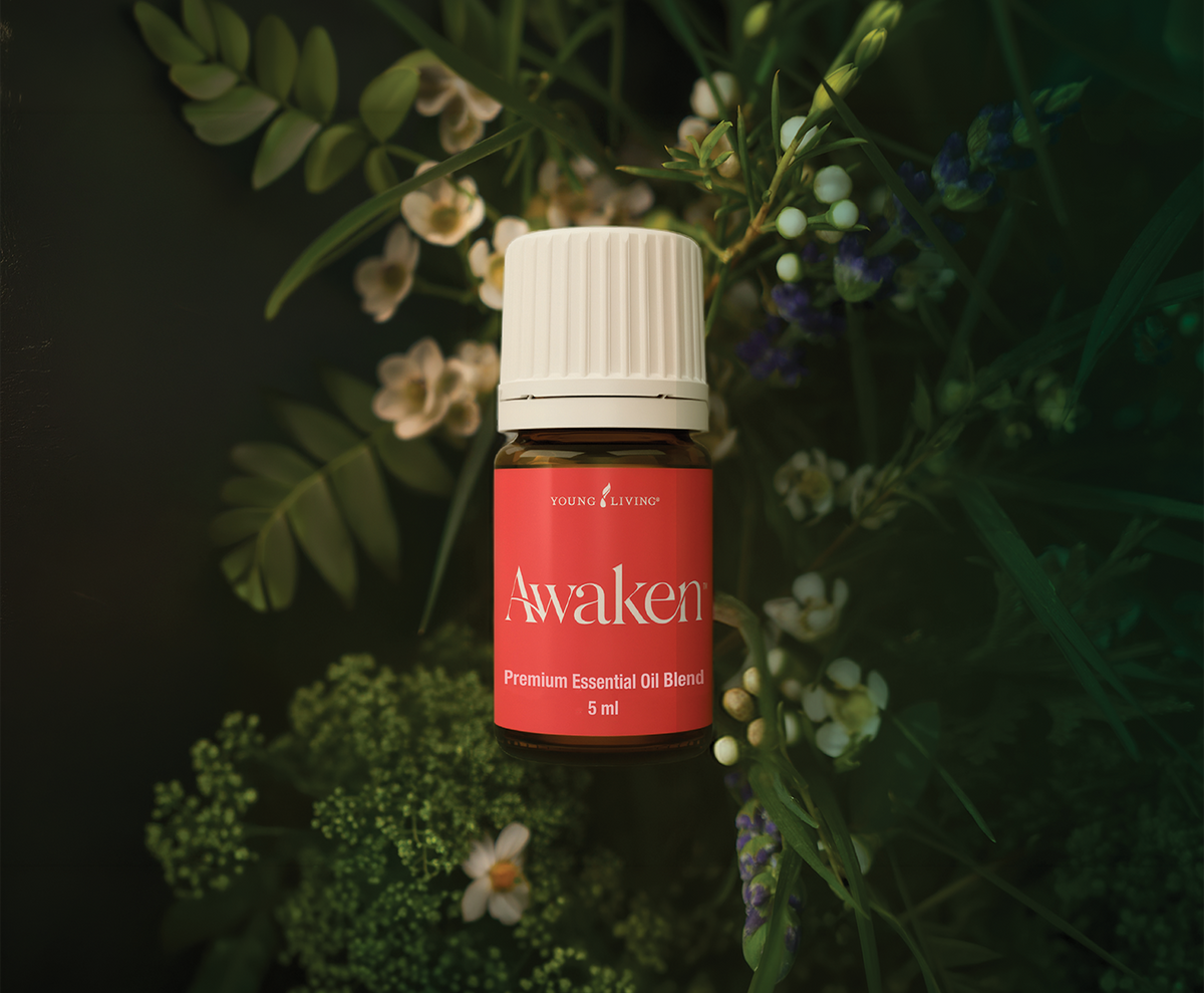 Awaken Gift Guide: Convention 2026