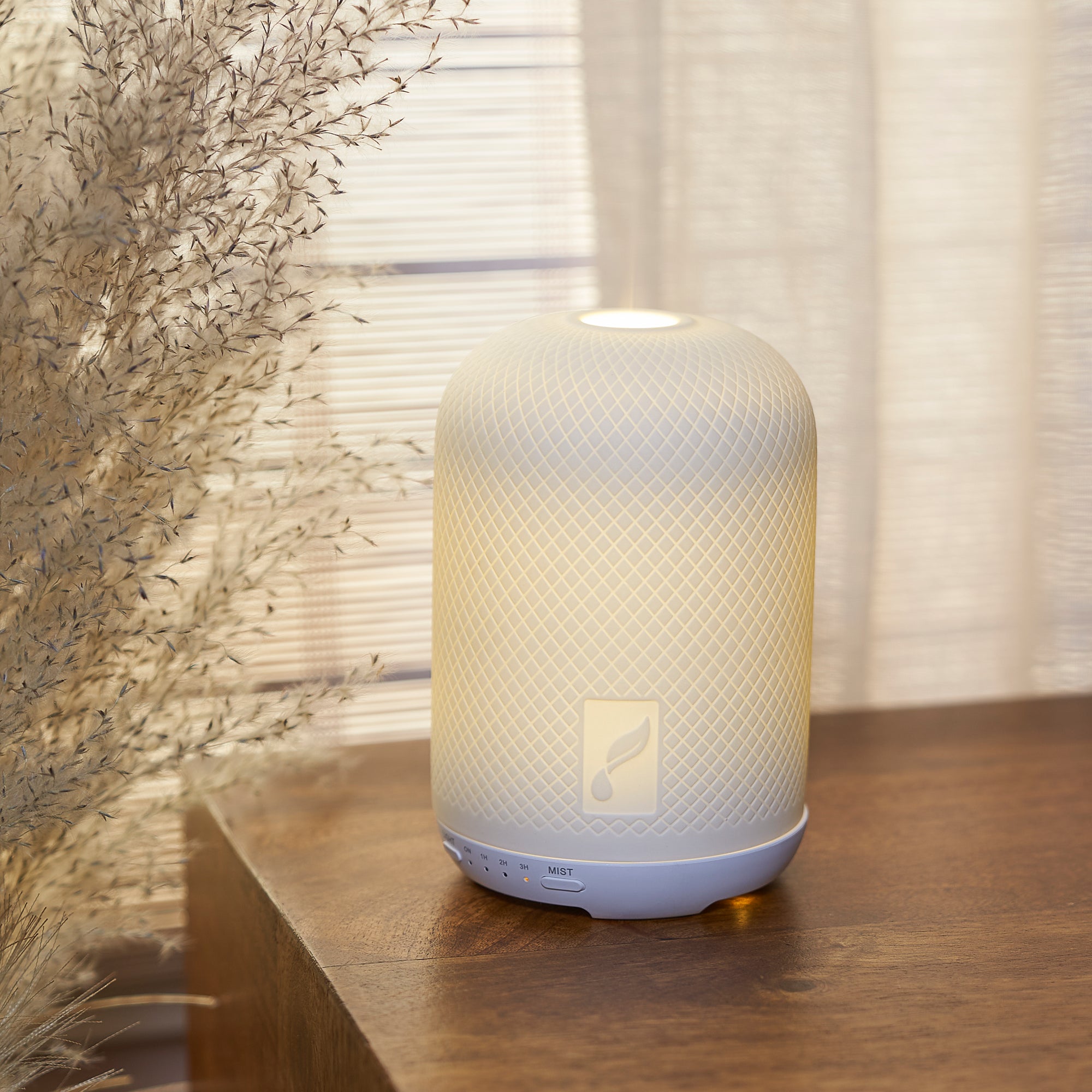 Haven Ceramic Diffuser