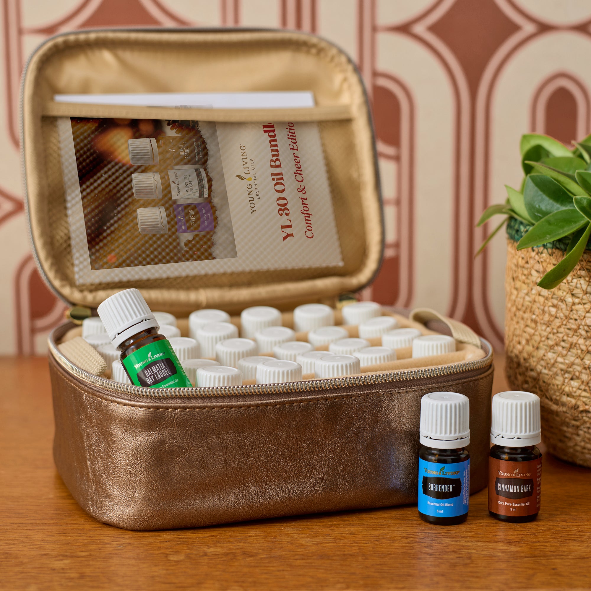 YL 30 Oil Bundle: Comfort & Cheer