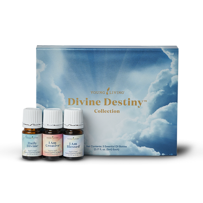 Divine Destiny Collection