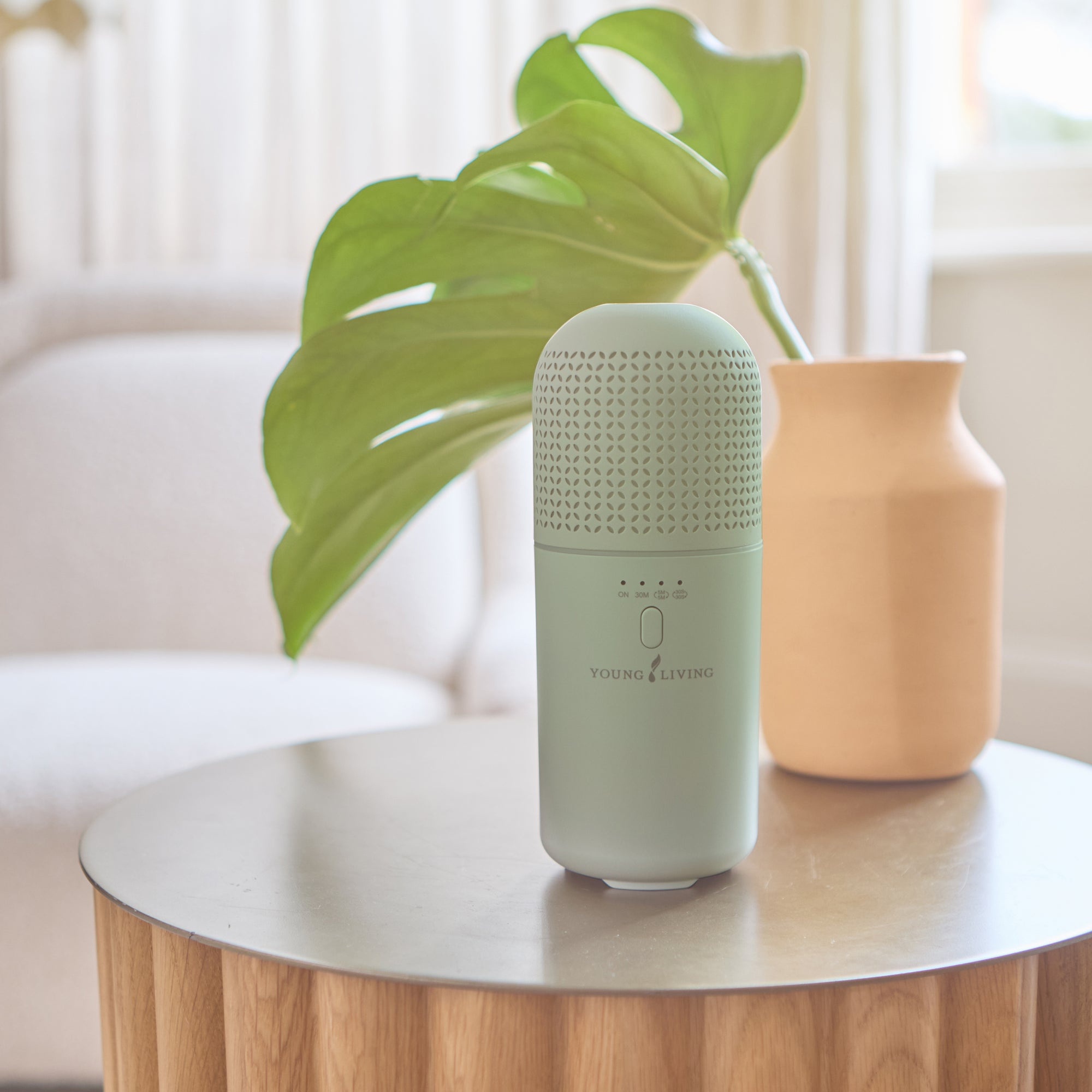 WanderBliss Diffuser (Sage Green)
