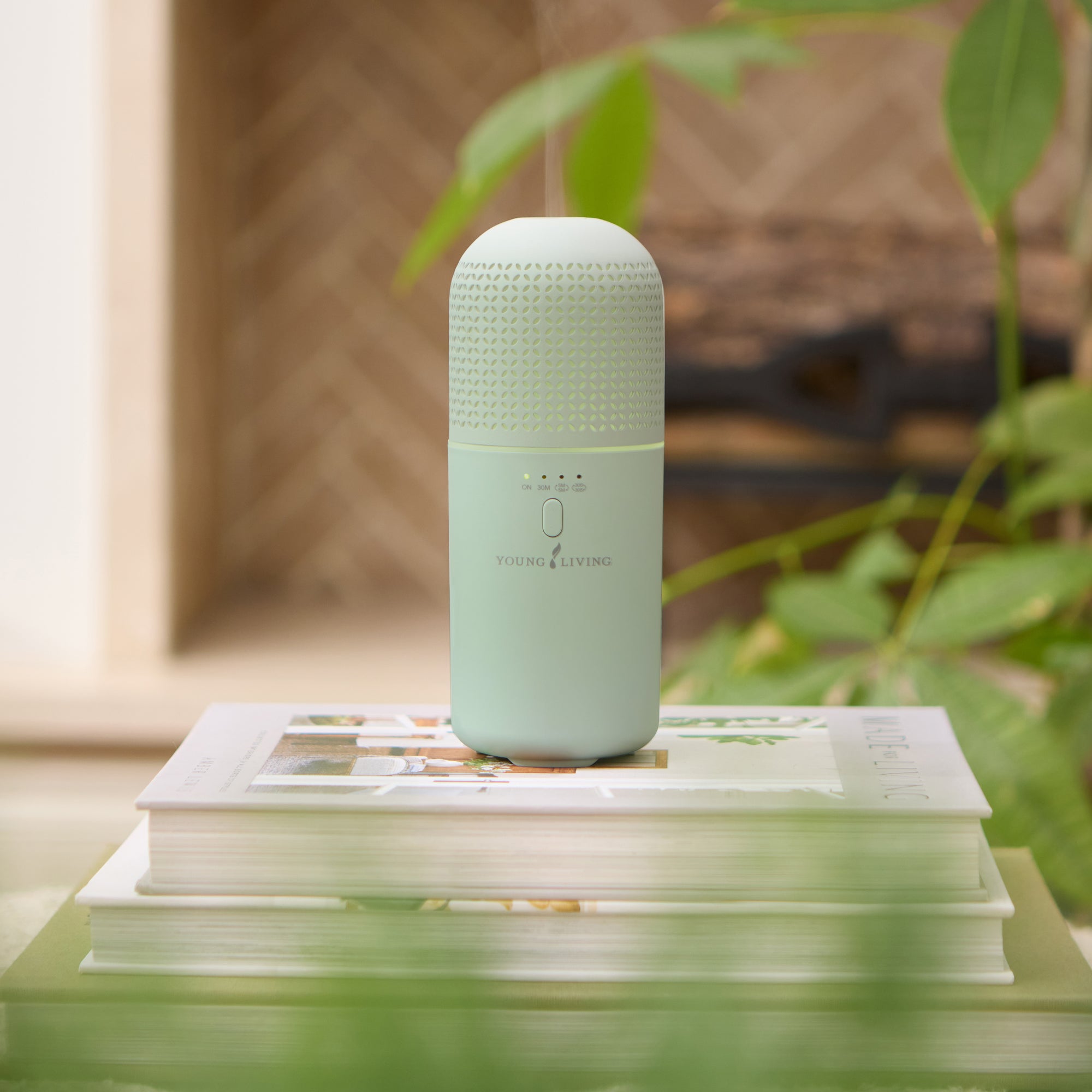 WanderBliss Diffuser (Sage Green)