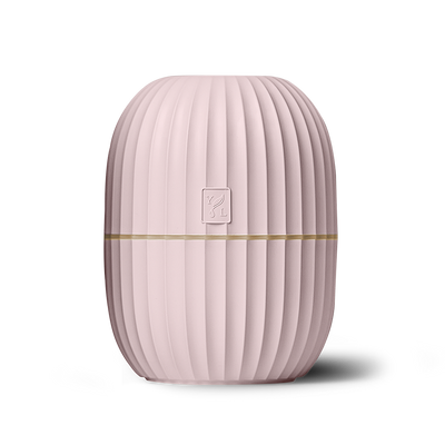 Cactus Diffuser - Pink
