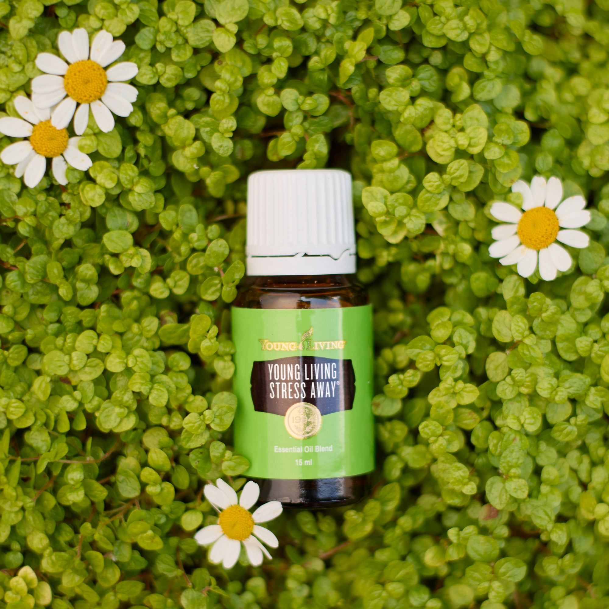 Young Living Stress Away®