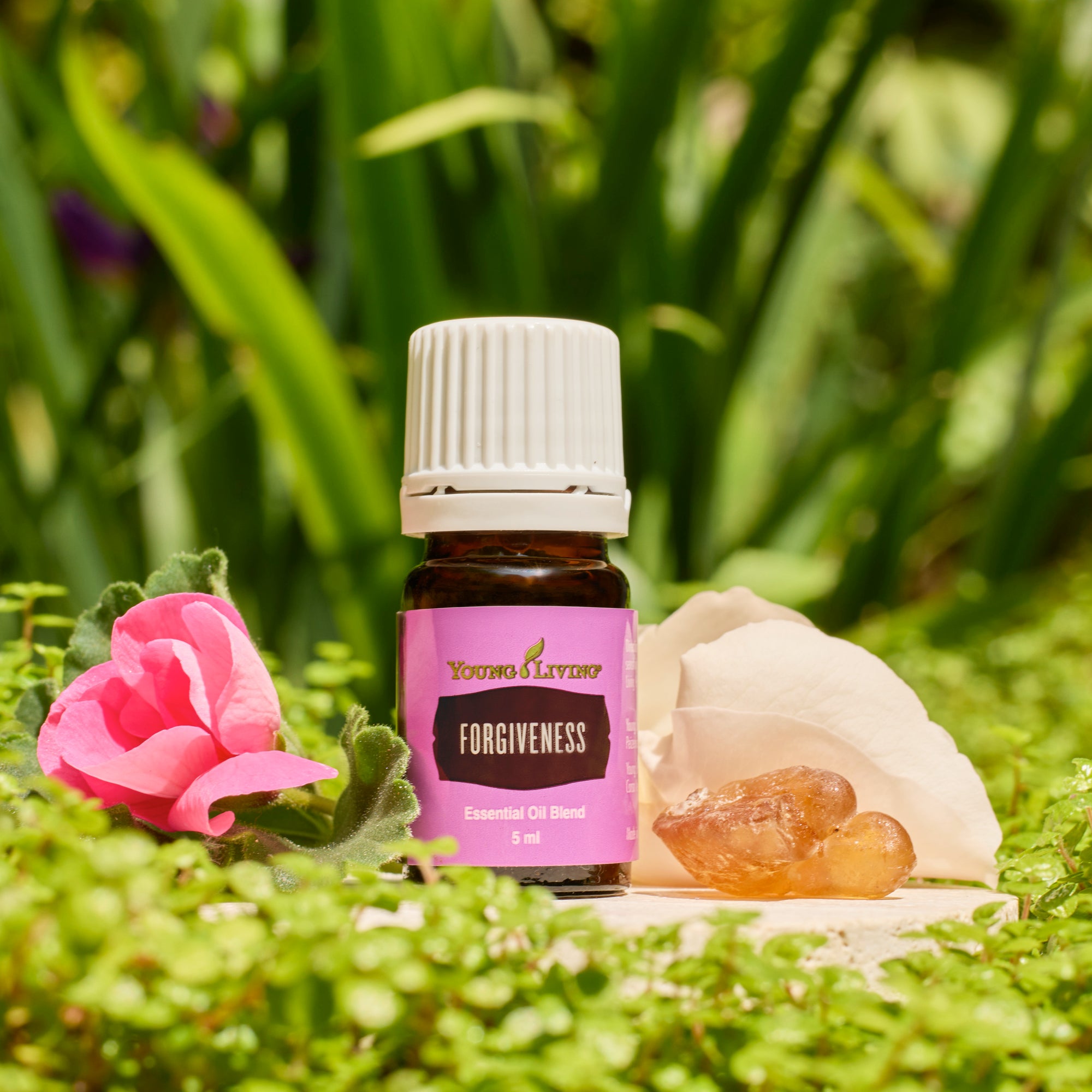 Forgiveness Essential Oil Blend