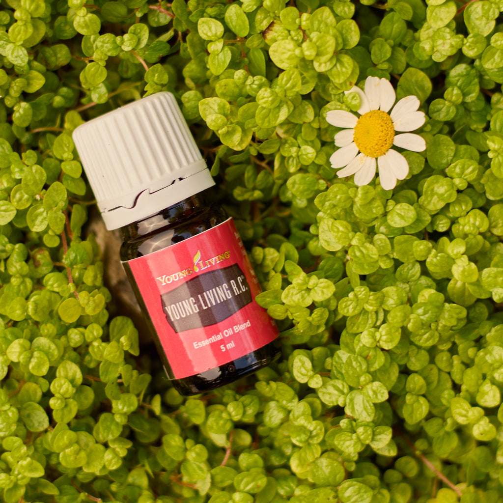 R.C. Wellness Essential Oil