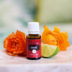 Bergamot Essential Oil