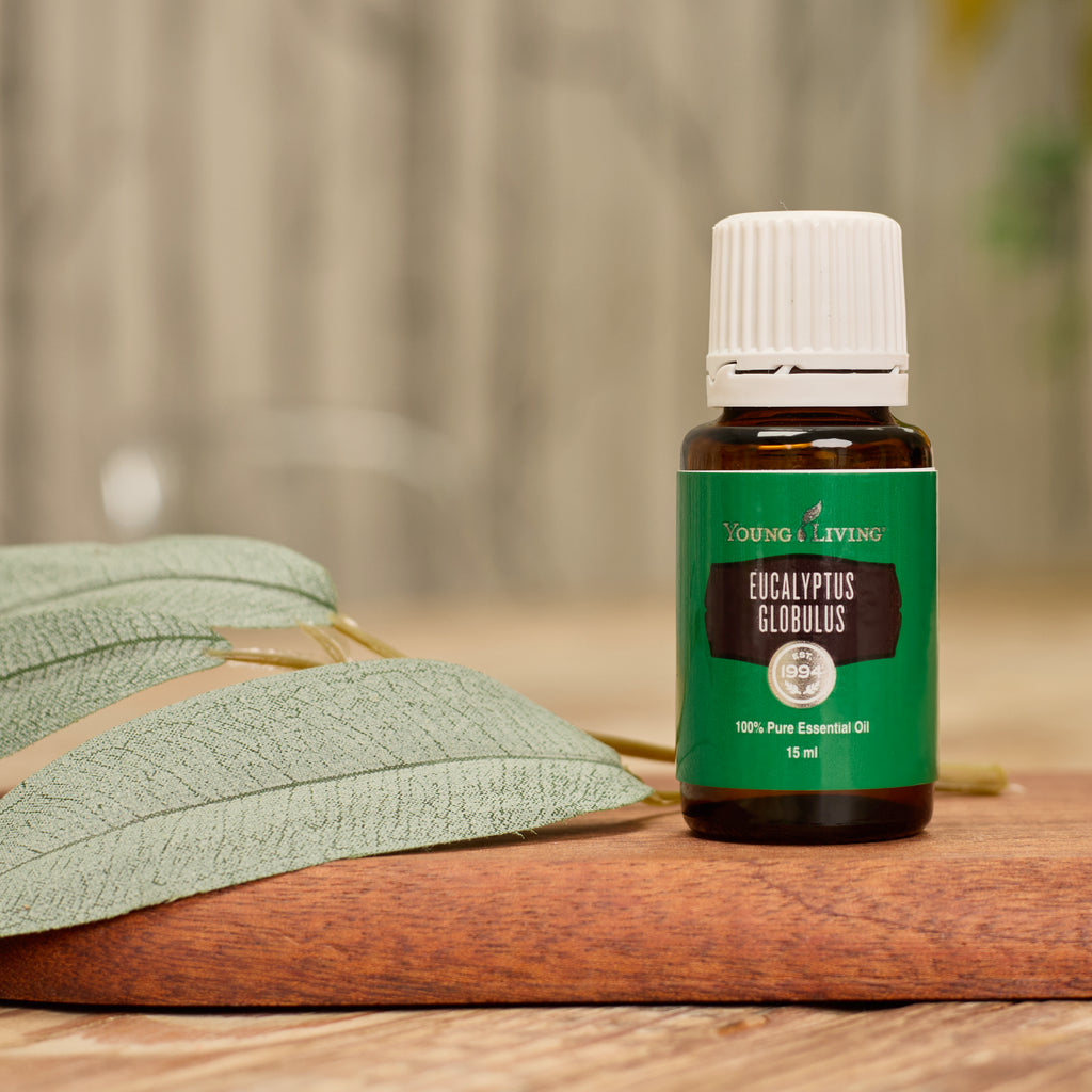 Eucalyptus Globulus Essential Oil