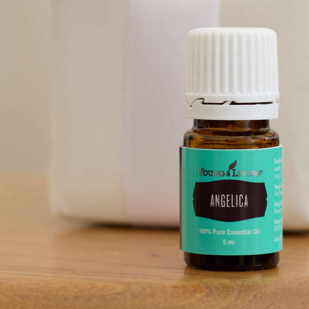 Angelica Essential Oil