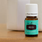 Angelica Essential Oil