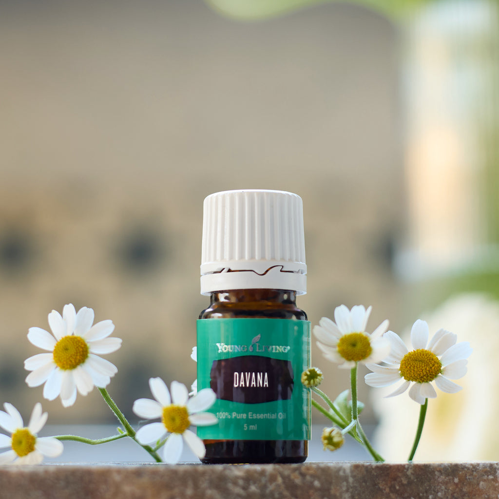 Davana Essential Oil
