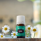 Davana Essential Oil