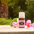 Geranium Bourbon Essential Oil