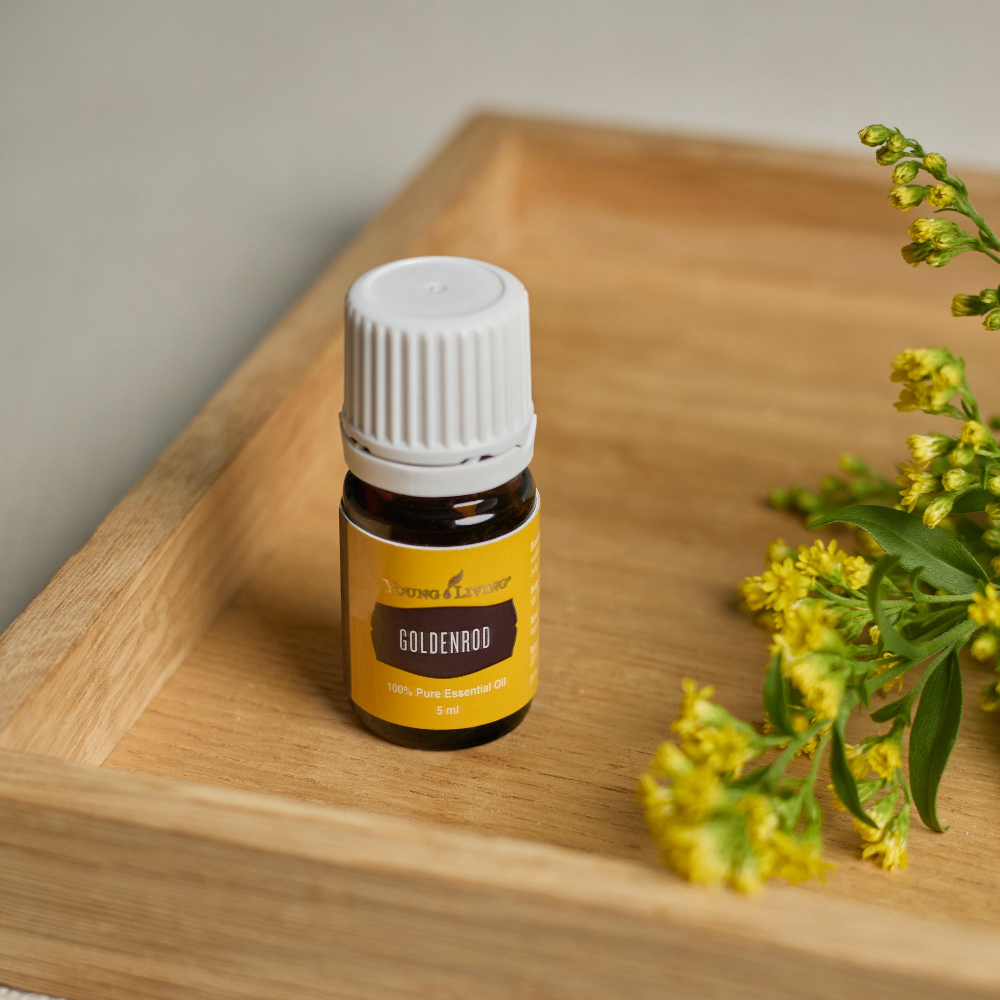 Goldenrod