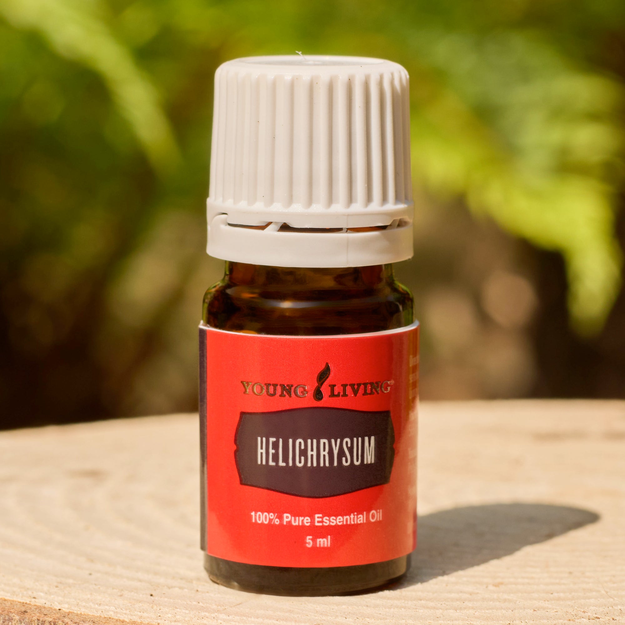Helichrysum Essential Oil