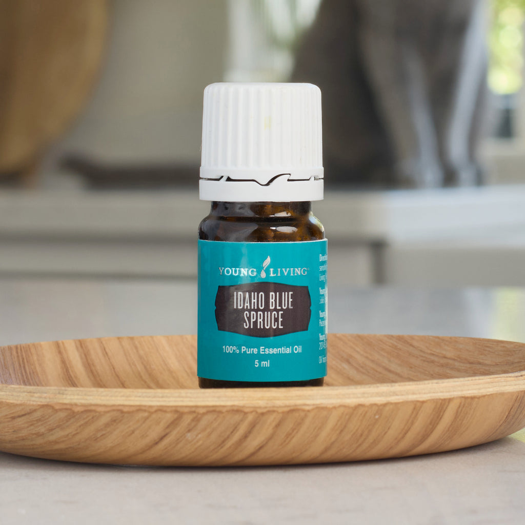 Idaho Blue Spruce Essential Oil