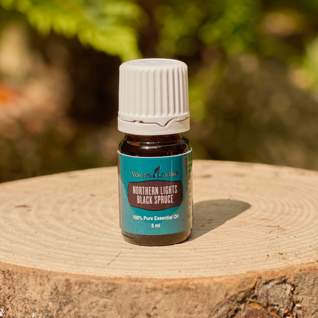 Northern Lights Black Spruce Essential Oil