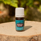 Northern Lights Black Spruce Essential Oil