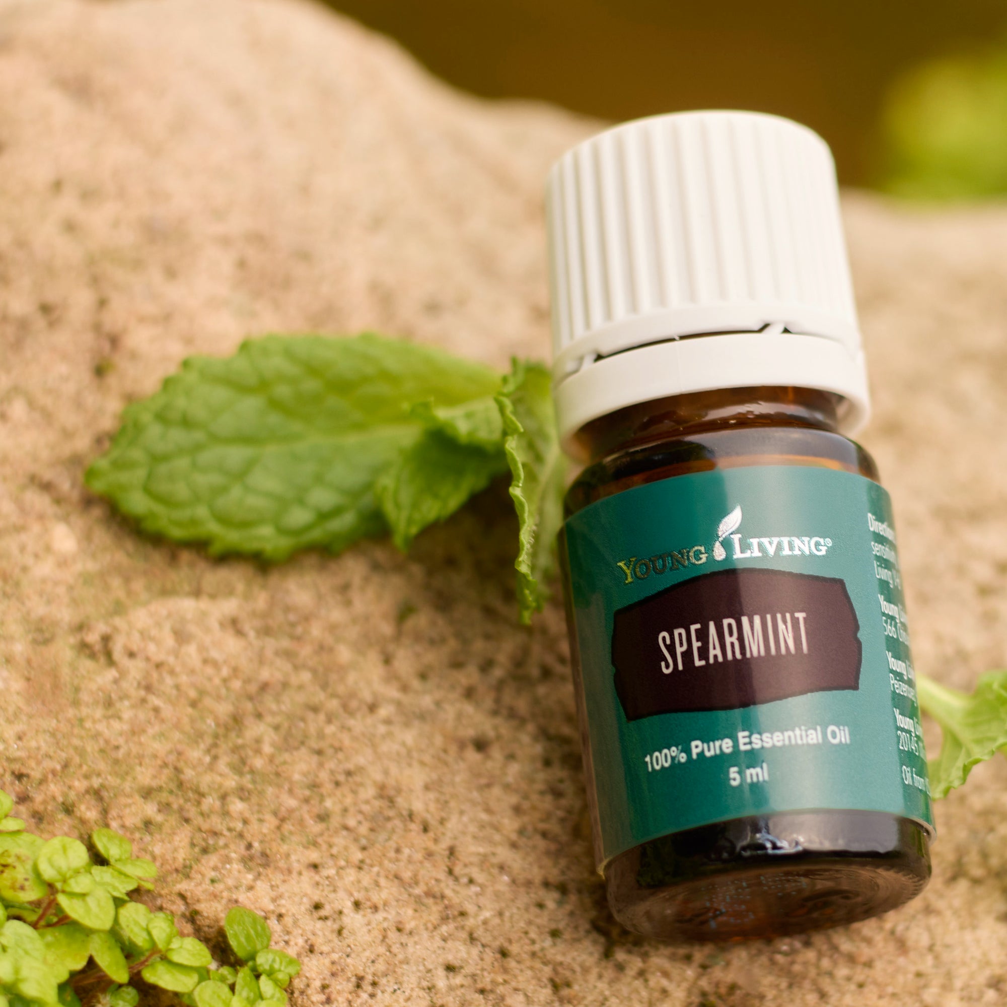 Spearmint Essential Oil