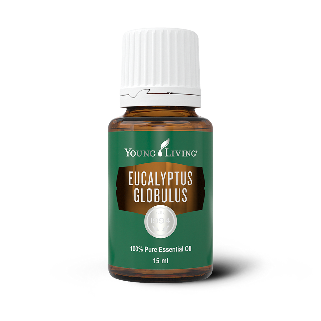 Eucalyptus Globulus Essential Oil