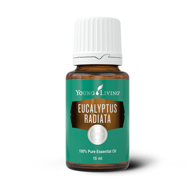 Eucalyptus Radiata Essential Oil