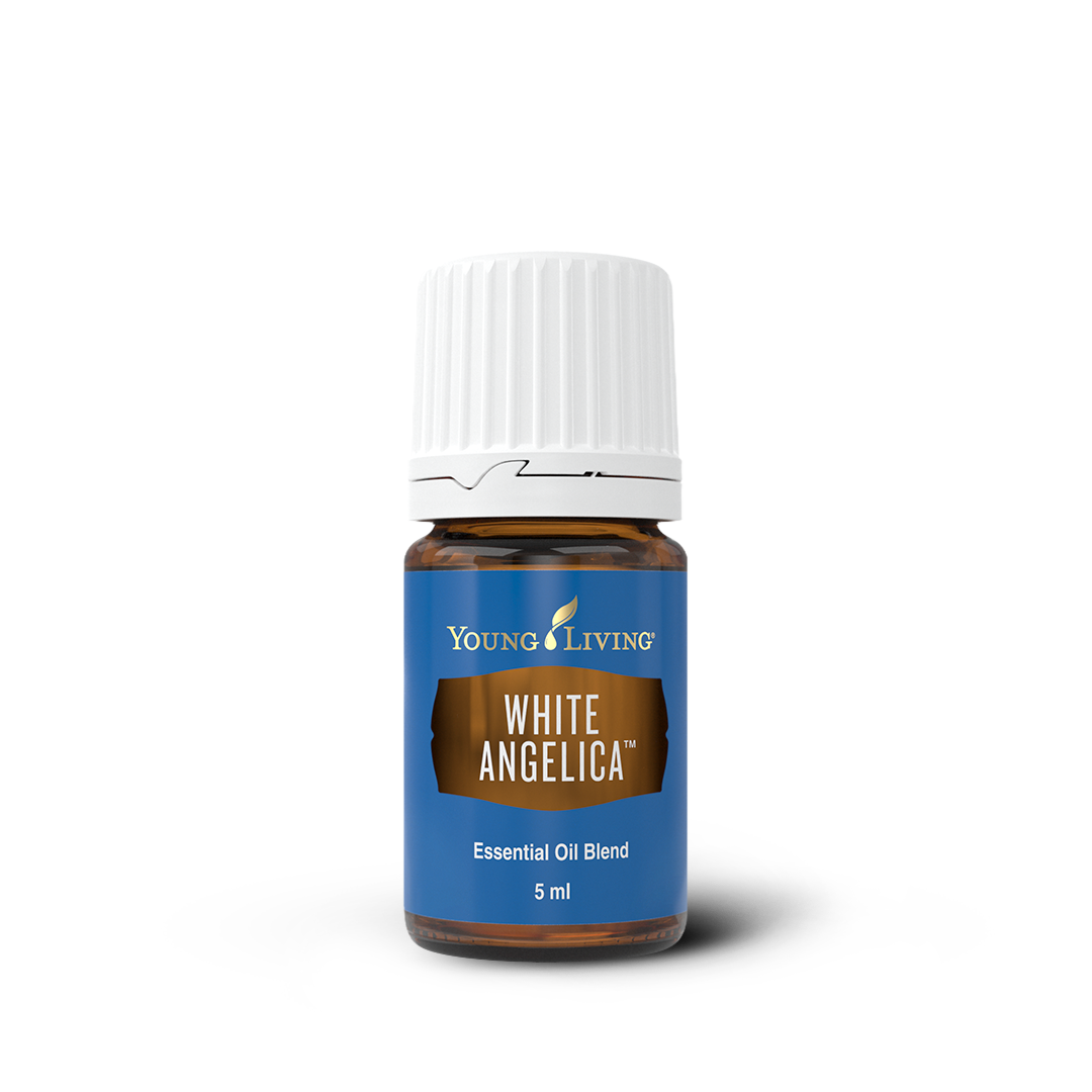 White Angelica