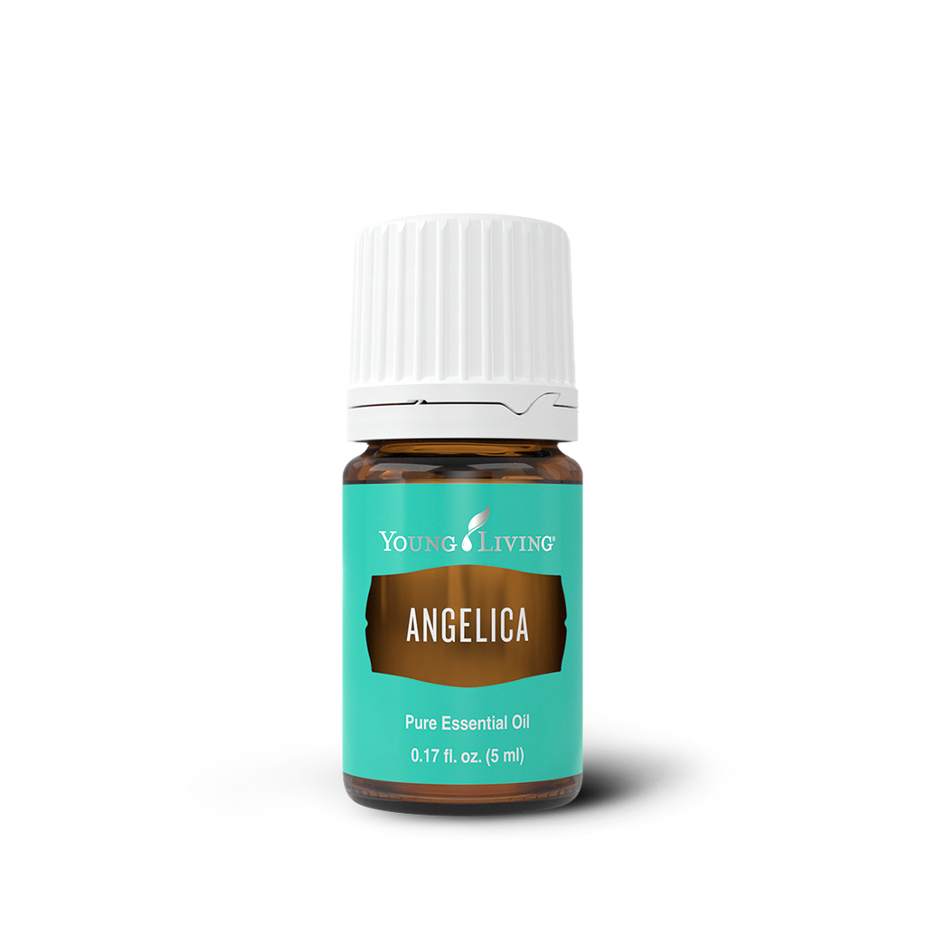 Angelica Essential Oil
