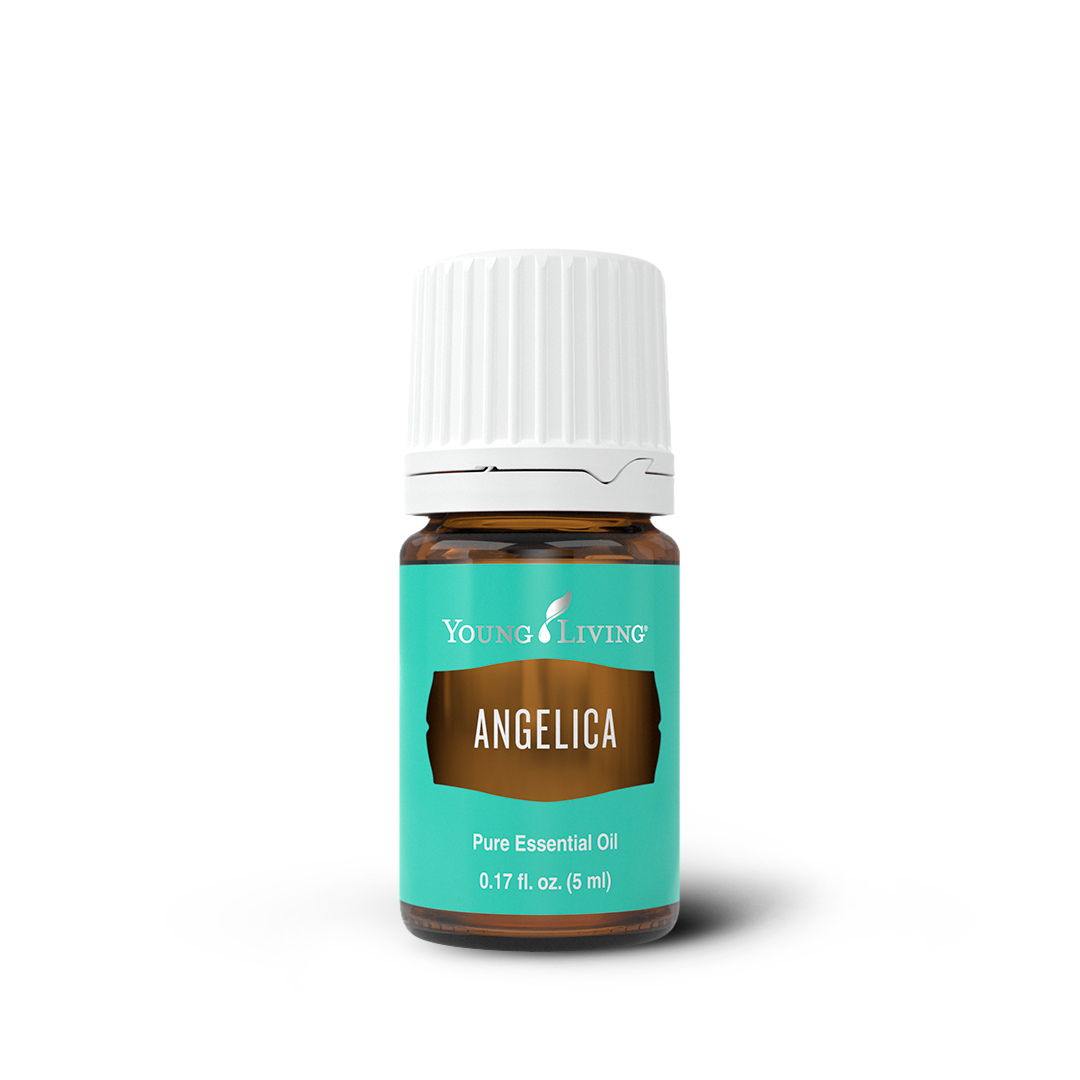 Angelica Essential Oil
