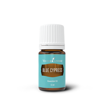 Blue Cypress Essential Oil