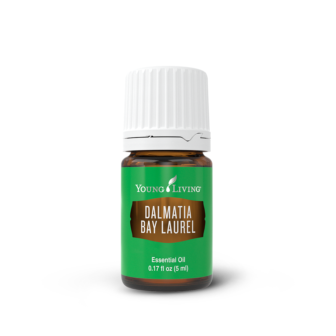 Dalmatia Bay Laurel Essential Oil