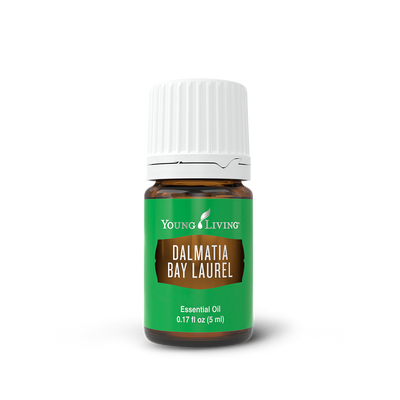 Dalmatia Bay Laurel Essential Oil