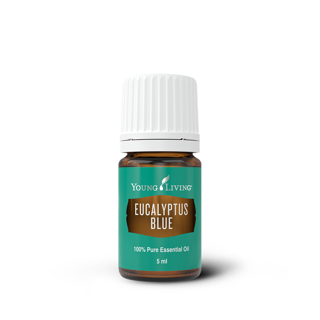 Eucalyptus Blue Essential Oil