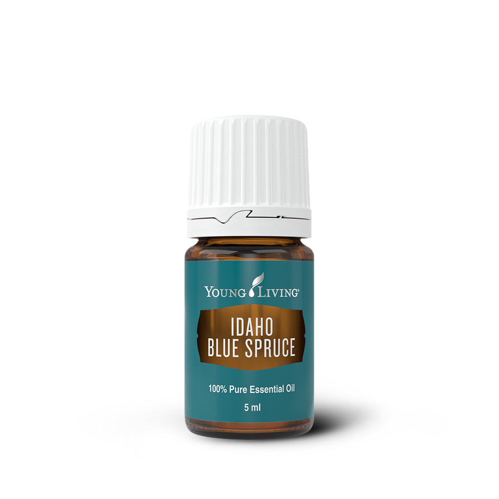 Idaho Blue Spruce Essential Oil