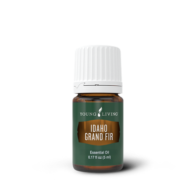 Idaho Grand Fir Essential Oil