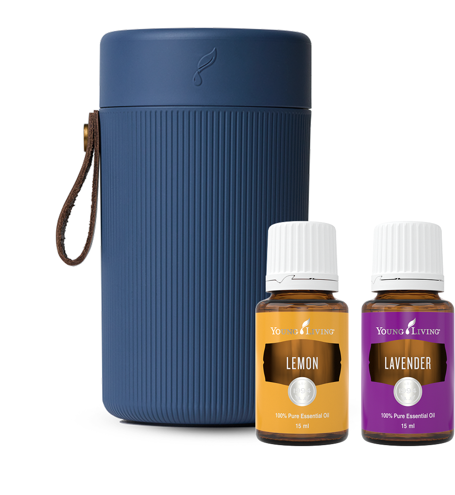Everyday Favourites Core Starter Kit