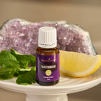Transformation Essential Oil Blend