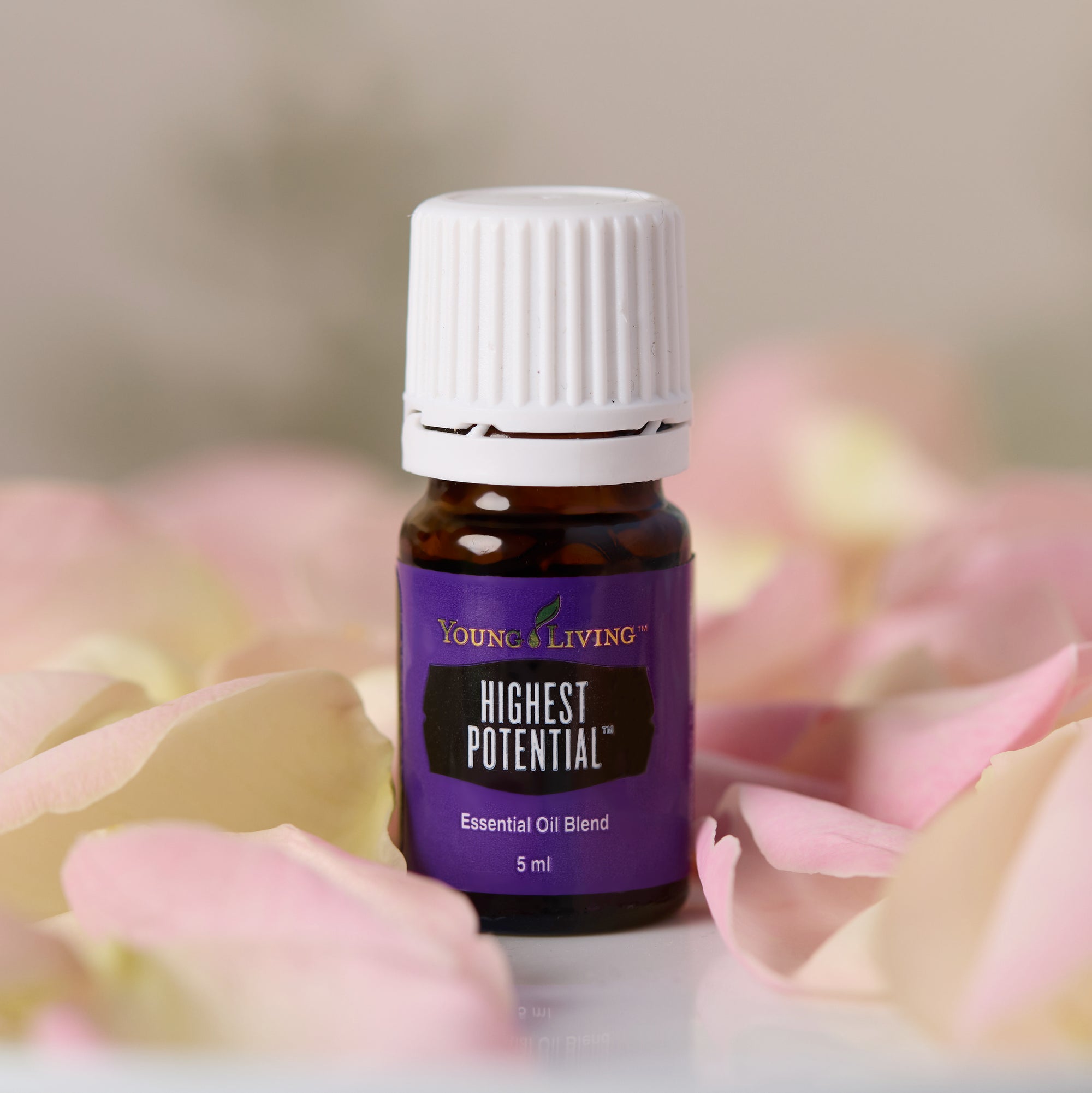 Highest Potential Essential Oil Blend