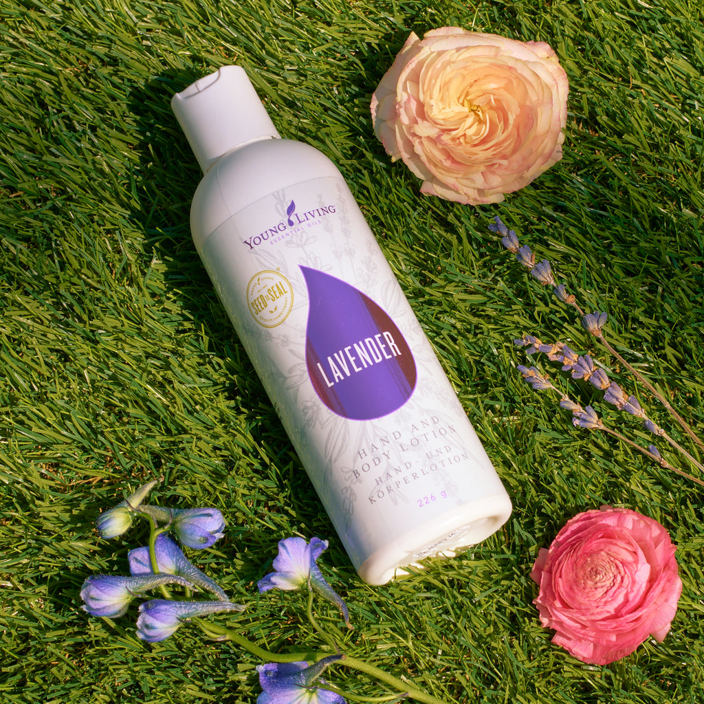 Lavender Hand & Body Lotion