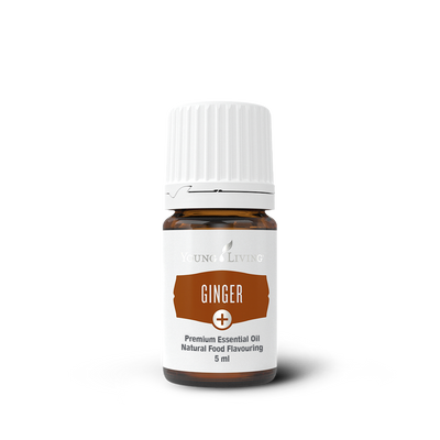 Ginger +