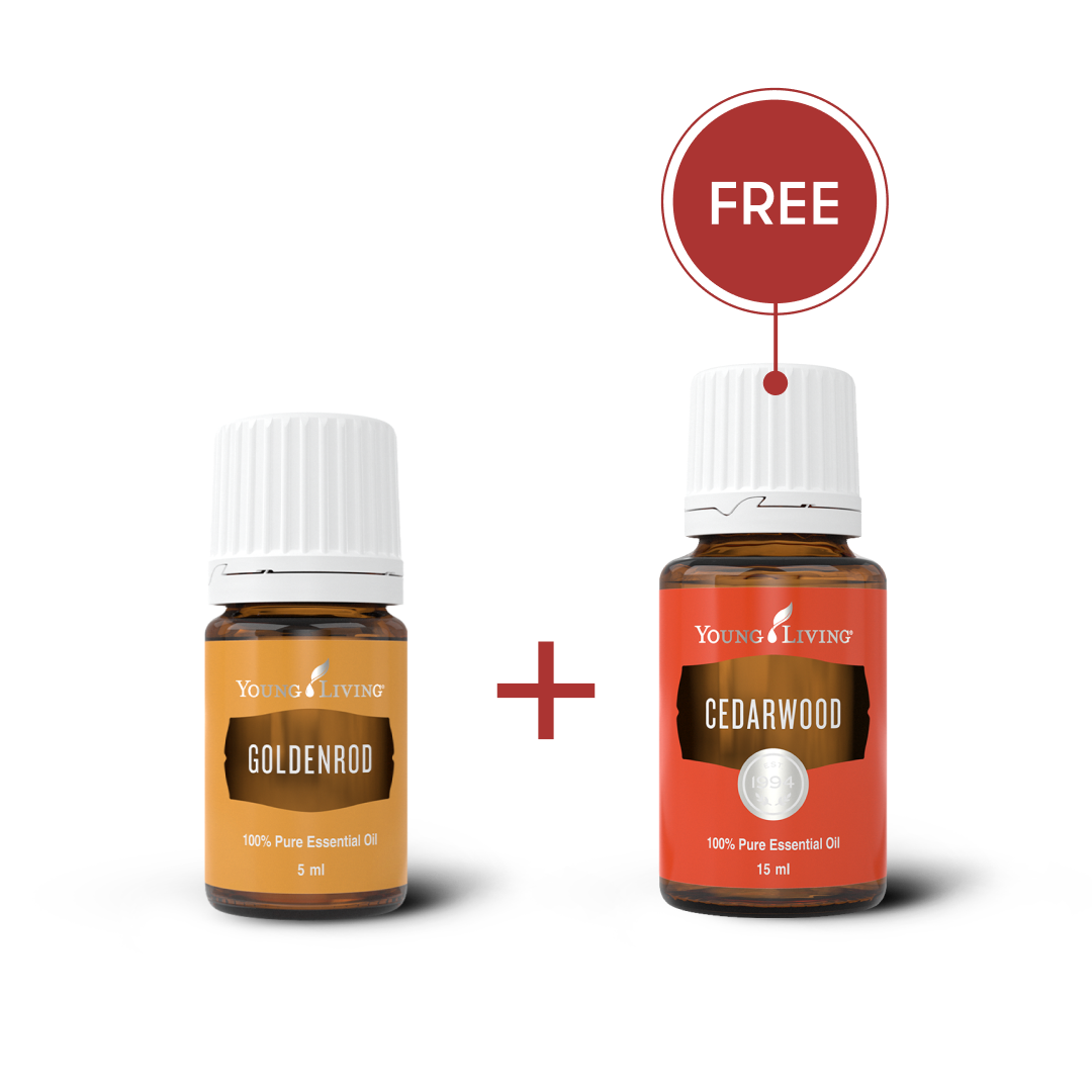 Golden Cedar (EU)