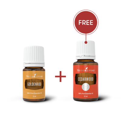 Golden Cedar (EU)