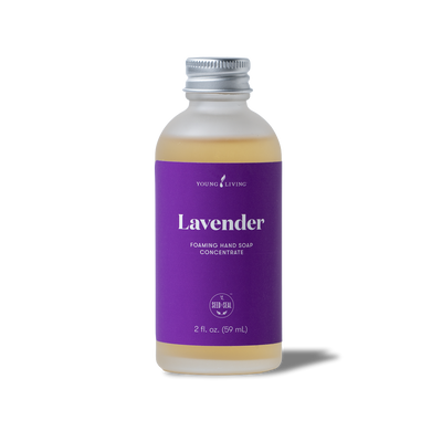 Lavender Foaming Hand Soap Concentrate